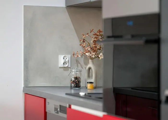 Red And Grey For 8 People In With Parking By Renters Apartment Posen